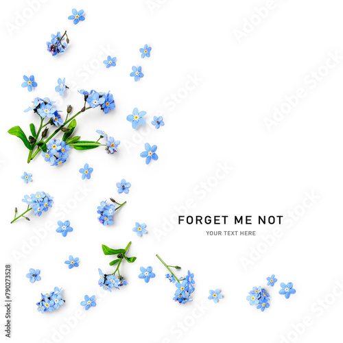 Forget me not flowers frame border isolated on white background.