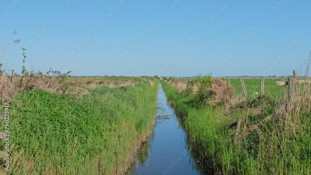 Drainage dyke in Upton marches, Norfolk Broads National Park Drainage dyke in Upton marches, Norfolk Broads National Park