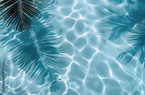 Palm Tree Reflection in Water