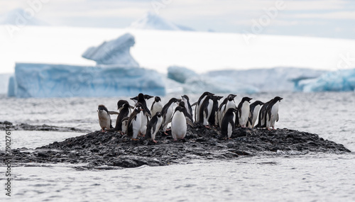 Gruppe von Adeliepinguinen auf einem Felsen in der Antarktis