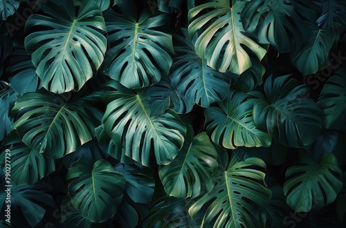 Close Up of Green Leaves