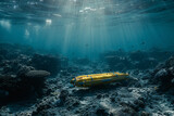 A scene depicting an autonomous underwater vehicle (AUV) mapping the ocean floor, using sonar to rev