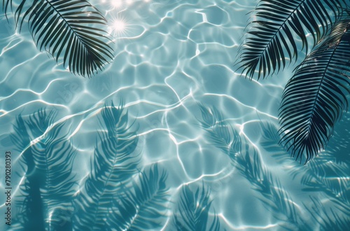 Pool Surrounded by Palm Trees