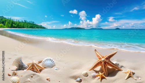 View of the beach waves is truly amazing and creates wisps of white foam on the shoreline, with stunning vibrant reflections of sunlight, sea creatures, shells, starfish and turtles walk on the beach 