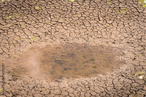 Tableau sur toile Dry riverbed with small puddle and cracked soil , global warming and drought concept