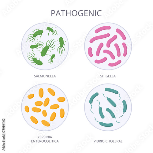 Pathogenic bacteria. Cartoon biological microorganism, bad microbes and bacteria, pathogenic flora microorganism flat vector illustration. Bad microbiota in petri dish