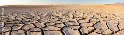 Parched desert earth, cracked by the relentless sun, reveals the harshness of the arid landscape photo