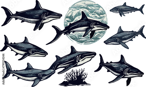 "Majestic Whale Illustrations: Graceful Marine Mammal Collection"