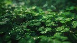 Green Leaves Covered in Water Droplets