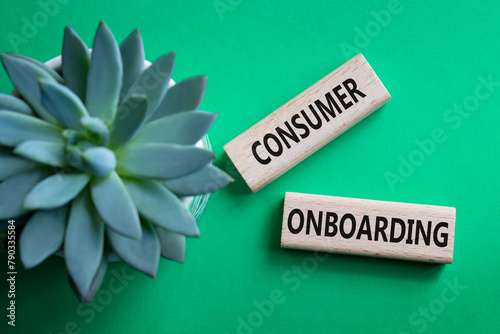 Consumer Onboarding symbol. Wooden blocks with words Consumer Onboarding. Beautiful green background with succulent plant. Business and Consumer Onboarding concept. Copy space. photo