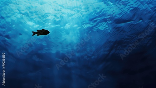 Silhouetted fish swimming in deep blue ocean waters