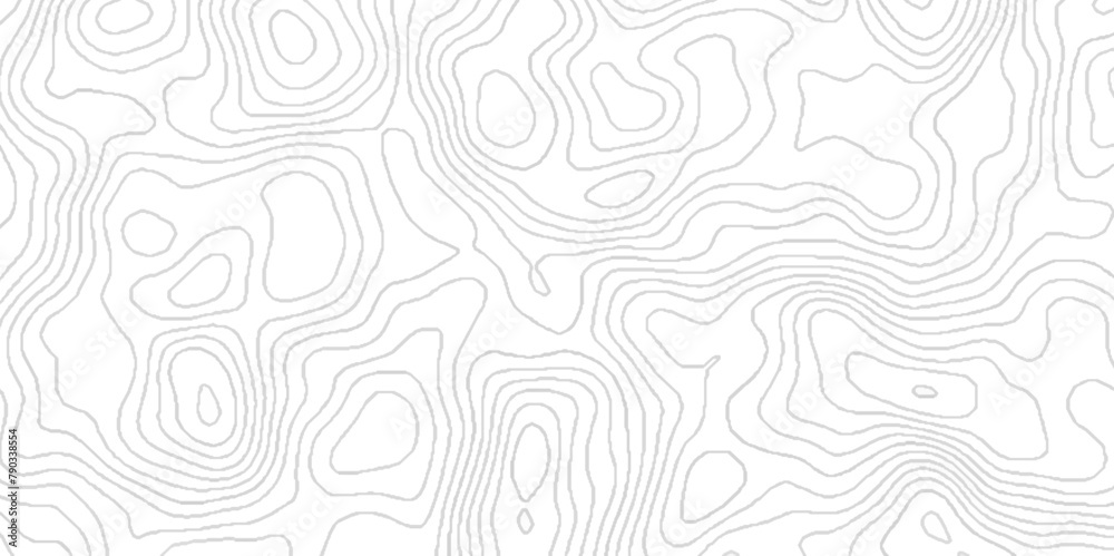 Black and white geometric lines seamless Topographic map, White wave paper curved reliefs abstract geometric topography, Abstract topographic contours map background geography scheme.