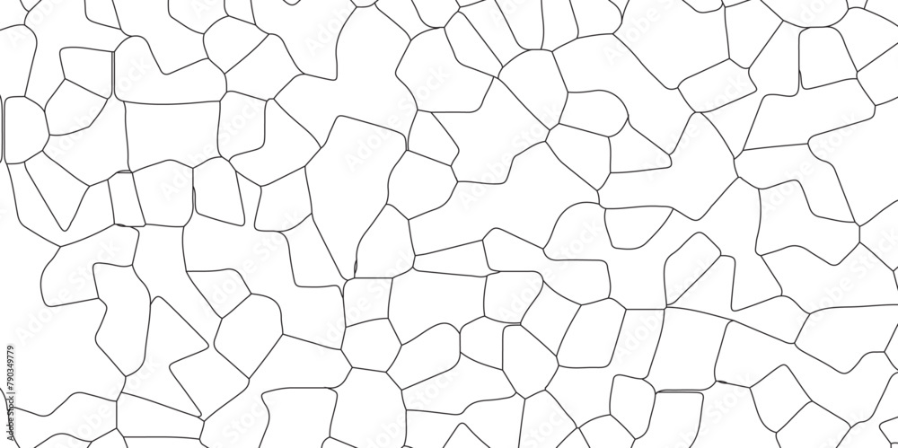 Abstract white crystalized broken glass background .black stained glass window art pattern vector illustration. broken stained glass black lines geometric pattern . Abstract white crystalized broken glass background .black stained glass window art pattern vector illustration. broken stained glass black lines geometric pattern .
