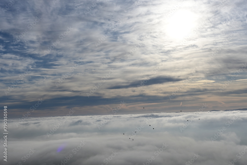 Fototapeta premium clouds and sky
