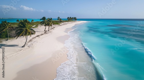 Coastal paradise: Pristine sandy beaches stretch as far as the eye can see, fringed by crystal-clear waters and swaying palm trees. photo