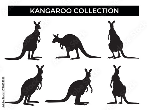 Kangaroo Silhouettes in Various Poses