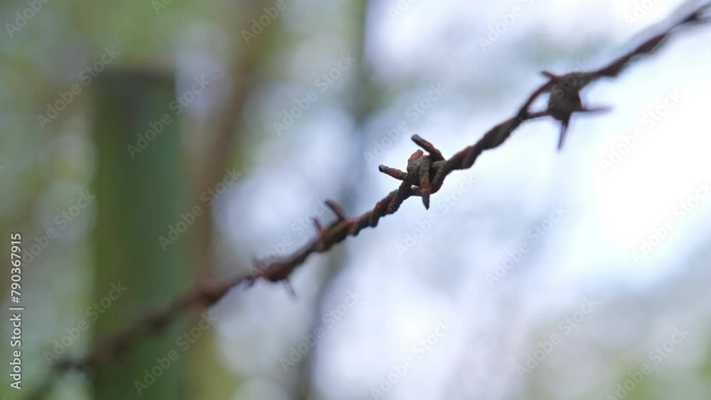 Old Rusty Sharp Barbed Wire Fence Old Rusty Sharp Barbed Wire Fence
