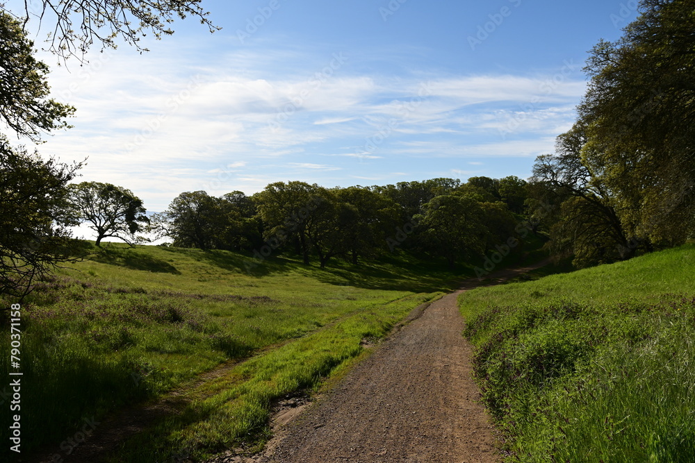 path in the park