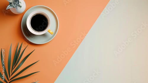 Minimalist coffee and plant on color block background - A neatly arranged coffee cup and plant on a two-tone background embody a minimalist aesthetic photo