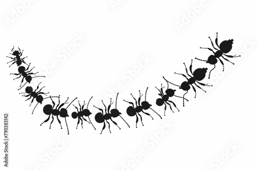 ants trail line of working ants on white background vector icon, white background, black colour icon photo