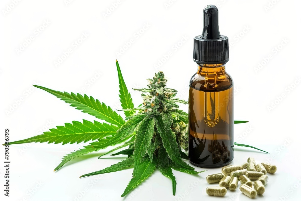 Dive into Appetite Stimulant and Cannabinoids Benefits in Hemp Tincture and Sativa: Guerilla Growing for Immune Boosting Properties Dive into Appetite Stimulant and Cannabinoids Benefits in Hemp Tincture and Sativa: Guerilla Growing for Immune Boosting Properties