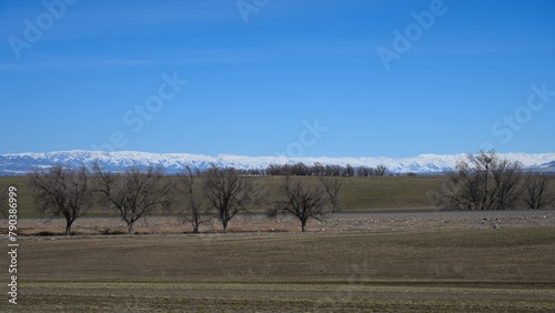 Rural view in Altyn Emel, Kazakhstan. Mountain Matay, in spring. photo