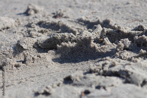 Wet Sand at the Beach - Stock Photo