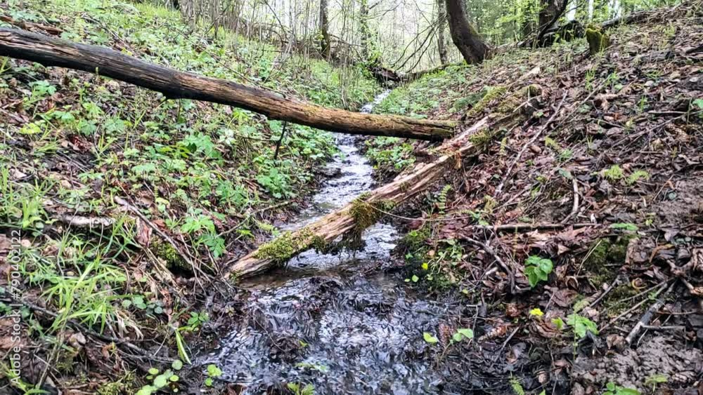 Spring, streams in the forest (7) Full HD 60 FPS Spring, streams in the forest (7) Full HD 60 FPS