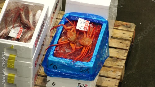 NUMAZU, SHIZUOKA, JAPAN - MARCH 2024 : View of Numazu Fish Market. Scenery of fish auction in early morning. Japanese seafood industry concept video. photo