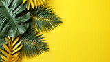 palm tree branch yellow background
