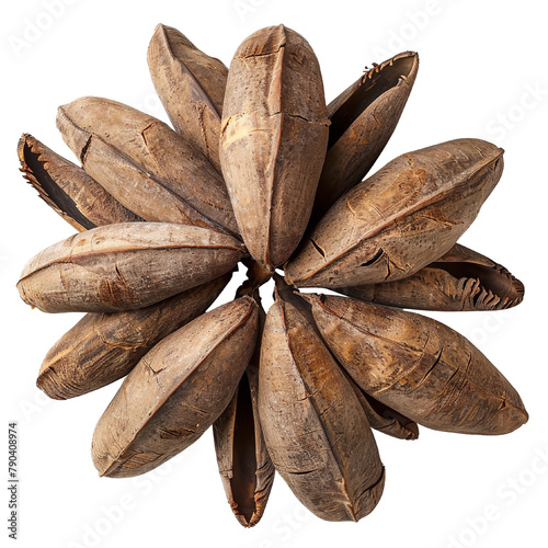 Ensete Ethiopian bread Isolated On White Background  photo