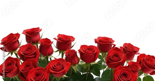 A bouquet of vibrant red roses with green leaves against a white background