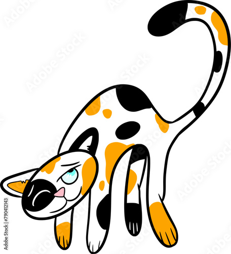 A hand drawn vector doodle art in cartoon style of a tricolor cat with spots curved in an arc, black, white, orange, colourful, isolated