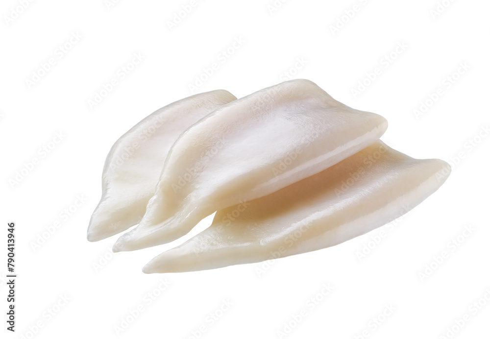 Fresh body squids, raw three squids isolated on white background. Fresh body squids, raw three squids isolated on white background.