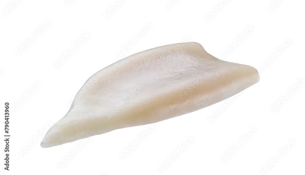 Raw squid tube isolated on white background. Fresh seafood isolated.