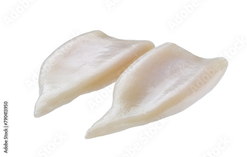 Fresh body squids, raw two carcasses isolated on white background.