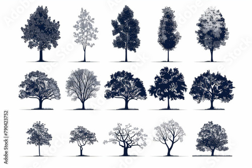 Minimal style cad tree line drawing  Side view  set of graphics trees elements outline symbol for architecture and landscape design drawing. Vector illustration in stroke fill in white. Tropical  oak 