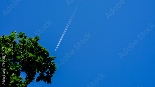 A Plane's Trail Over Green Tree