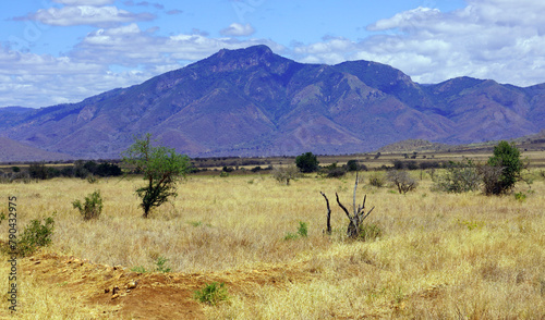 Savannah in dry season with trees and mountains in the distance