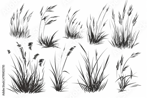 set of hand drawn grass illustration vector icon, white background, black colour icon © Ahtesham