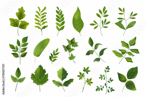 set of various green leaves element vector icon  white background  black colour icon