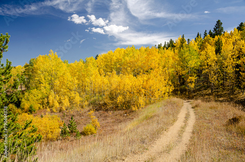 fall color along a ranch in Colorado