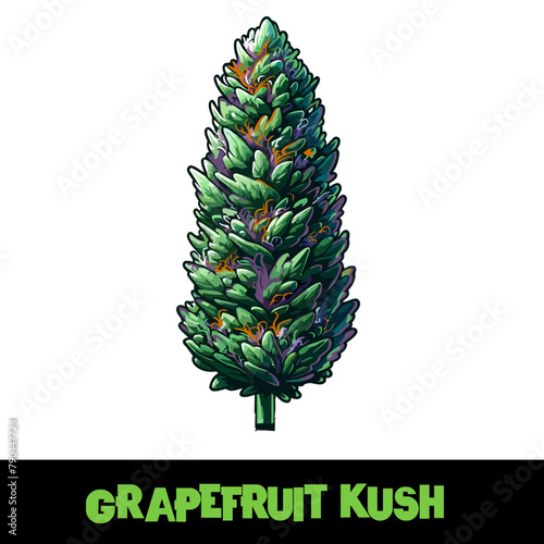 Vector Illustrated Grapefruit Kush Cannabis Bud Strain Cartoon
