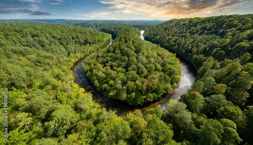 Top view, An expansive forest canopy, like a lush green carpet stretching out beneath the viewer, interrupted only by winding rivers and clearings.