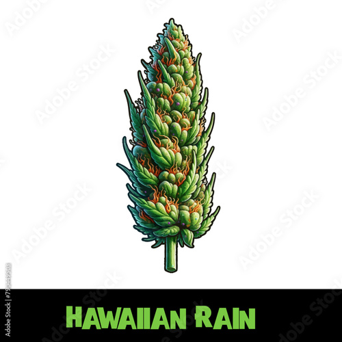 Vector Illustrated Hawaiian Rain Cannabis Bud Strain Cartoon
