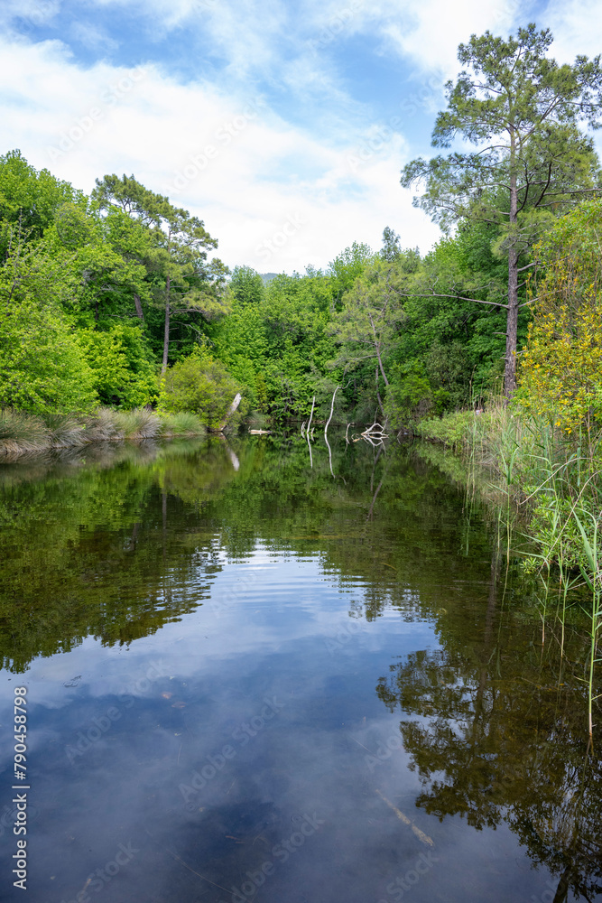 Marmaris, Gunnucek Nature Park is home to many endemic plant species ...