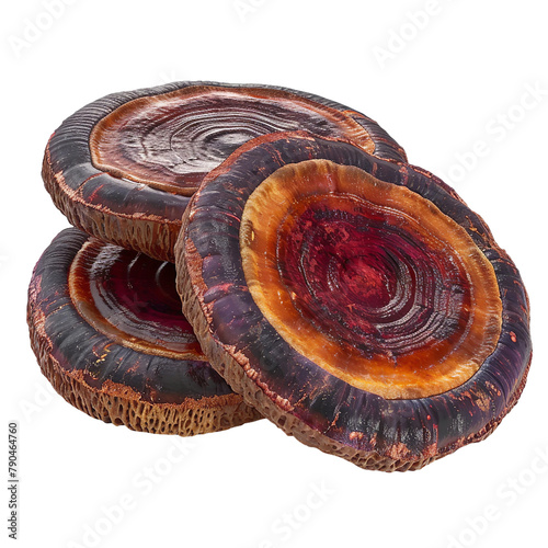 Tasty Galactic Ganoderma Lucidum  Berry Isolated On White Background  photo