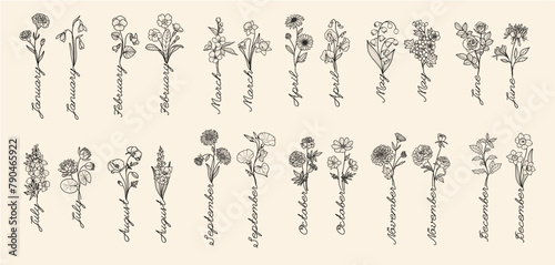 Birth-month flowers with month names, hand drawn, vector
