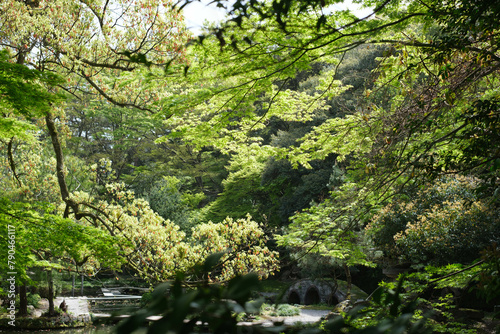 新緑が眩しい観光名所金沢市の兼六園。