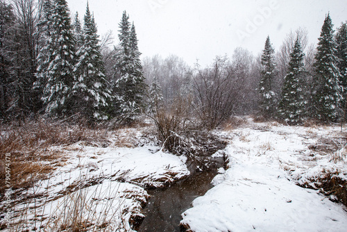 Wisconsin forest with a stream during a snowstorm